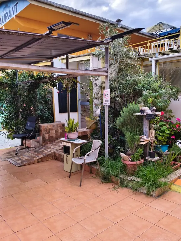 Patio con pérgola, plantas y sillas para descansar